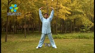 Ba Duan Jin complete form with description in English Qigong Health Excercise Taichi 八段锦