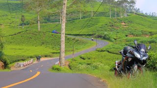 Hamparan Kebun Teh || Rancabali ||Ciwidey