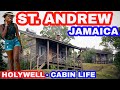 LIFE IN BLUE MOUNTAIN JAMAICA- HOLYWELL