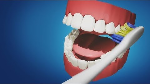 Modeling and Animating Toothbrush Bristles in Cinema 4D