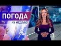 Погода на неделю с 26 апреля по 2 мая 2021. Прогноз погоды. Беларусь | Метеогид