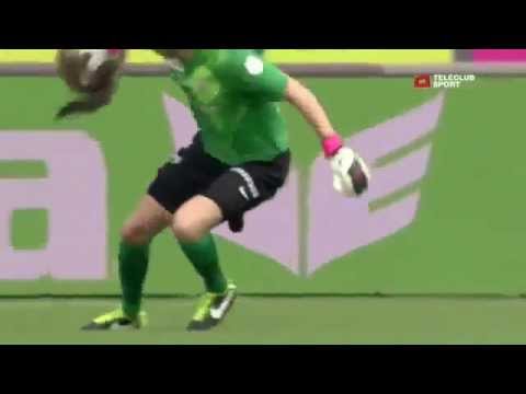 スイスのサッカー試合に テン が乱入 Youtube スイスのサッカー試合に テン が乱入 Youtube
