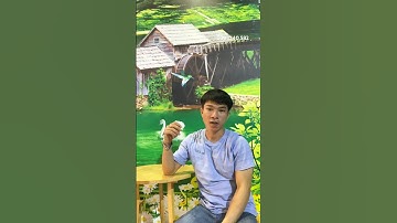 Tranh dán tường 3d phong cảnh thiên nhiên đẹp