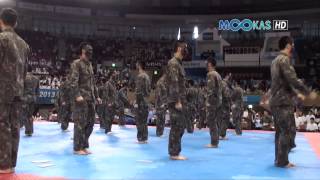 Taekwondo display by the Korean army at the 2013 Hammadang