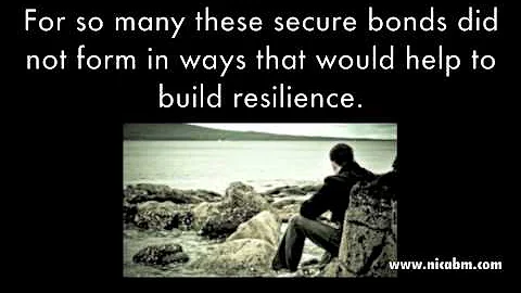 Attachment Disorder and Trauma Resilience With Allan Schore, PhD