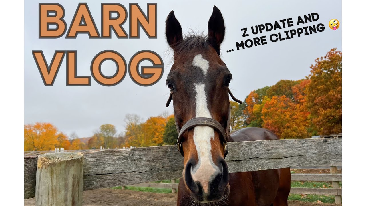 BARN VLOG: Playing Catch Up, an Update on Z & More Clipping! • Another ...