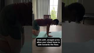 Bear Hold Scapula Retraction/Protraction