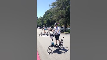 Fremont Library Arrival