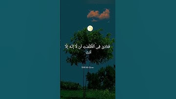 لا إله إلا أنت سبحانك إني كنت من الظالمين #قرآن #دعاء#duaa #quran #تلاوات
