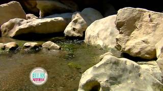 Conoce la increíble cascada de Tamul