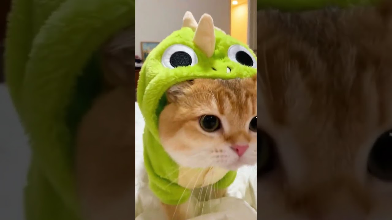 Are the little dinosaurs cute ee