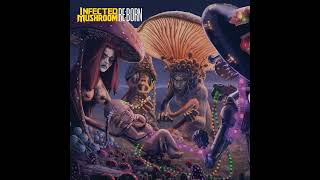 Infected Mushroom Reborn continuous mix