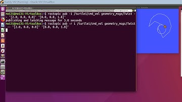 Turtle moving in Circles