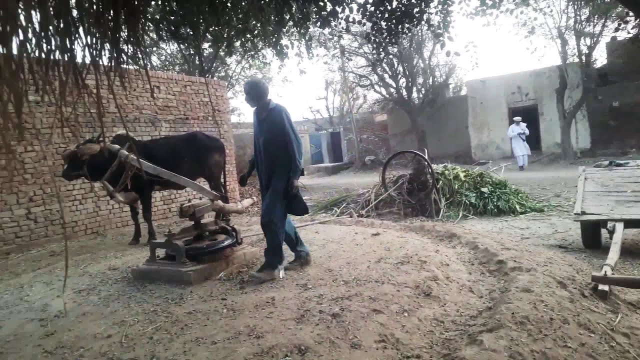 Punjab Village Life| Old Technology in Punjab