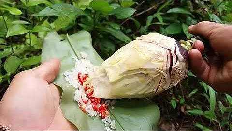 Ăn Hoa Chuối Rừng - Cuộc Sống Vùng Cao