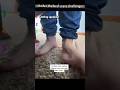Under the bed scare challenge#fyp