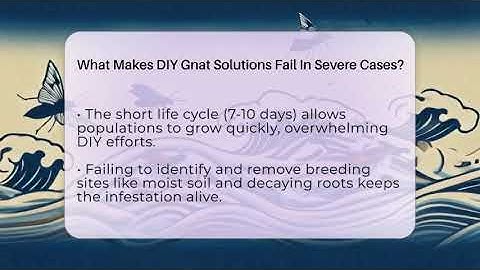 What Makes DIY Gnat Solutions Fail In Severe Cases? - Insects and Invaders