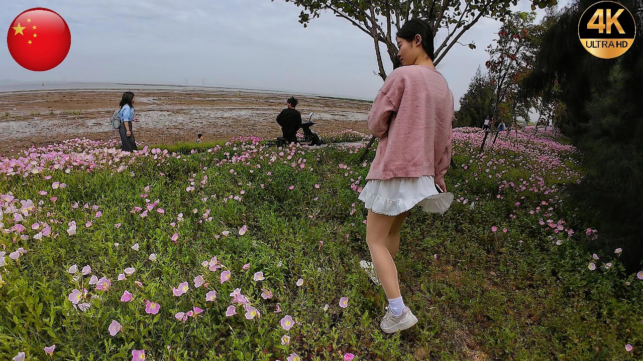 Virtual Walking Treadmill Experience: Explore the World from Home! 🌍