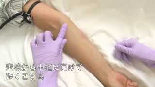 『注射・採血ができる』 SAMPLE 01 留置針の穿刺