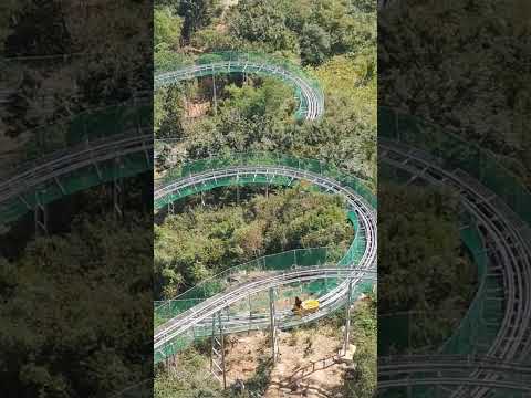Alpine Coaster Project By Henan Zhong xin Amusemnet Park Co.Ltd #travel #amusementcenter #nature