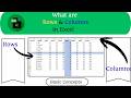 Rows and Columns in Excel Explained Simply 📊 | Excel Basics for Beginners#excel #exceltips