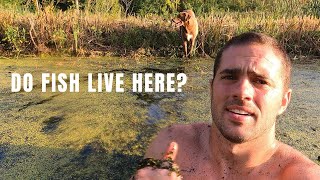 Do Fish Live in Wetlands? I Snorkeled One to Find Out!