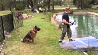 Java going off the Small Dock