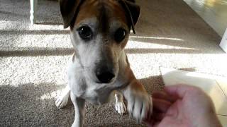 DSCF0161.AVI