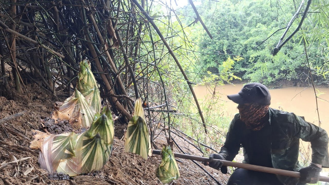 มาเด้อครับ แม่ๆเอฟซี เตรียมกะต่ากับเสียมไปหาหน่อไม้นำบ่าวดิน  นางดินฮิมฮ่องหน่องามคัก 28มิ.ย.68