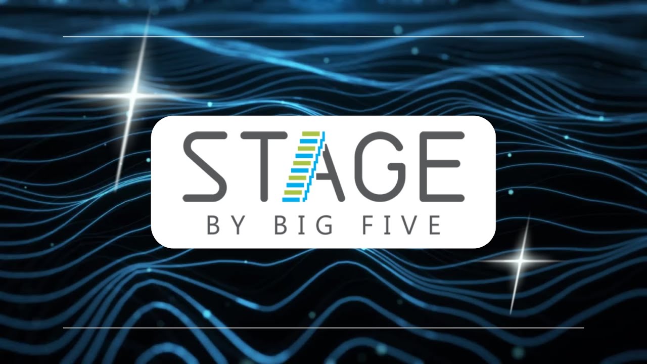 Оптимизация талантов и повышение гибкости с помощью STAGE от Big Five (английская версия)