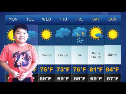 Sydney 7-Day Forecast (2017)
