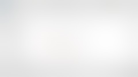 Civil 3D 2021 ; Point Style and Point label style