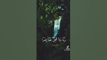 لا يكلف الله نفسها إلا وسعها القارئ فارس عباد