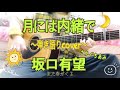 【歌詞付】月には内緒で/坂口有望(ギター弾き語りfull cover) Ami Sakaguchi