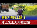黑秋「切他上路」！ 池上米王天天被巴頭