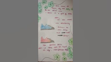 five applications of Similarity in our daily life.