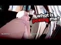 Moments Bad Cops Realized They DESTROYED Their Careers
