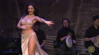 رقص شرقي مصري الراقصة داليا