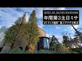 24/01/2021(日) 10 AM 『年間第 3 主日 ミサ (B年)』
