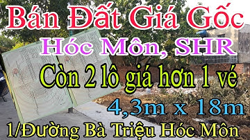 🏡 Bán Đất Thị Trấn Hóc Môn Cách Gò Vấp 9km X.D Tự Do, Sổ Hồng Mới Với Giá Rẻ Tận Gốc