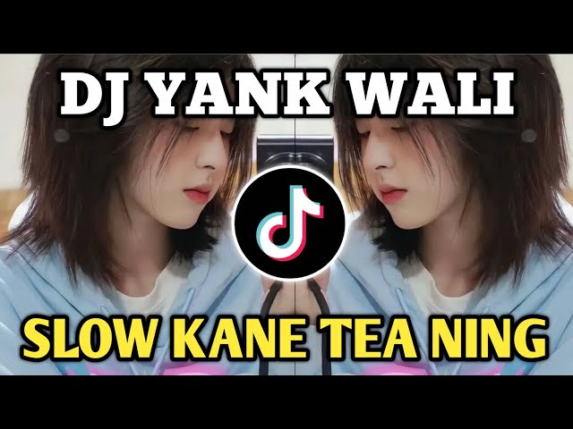 DJ Yank Wali Slow Kane Tiktok Viral 2022 class=
