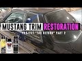 Foxbody Mustang Trim Painting on Project "Tax Return" - TIPS04E19