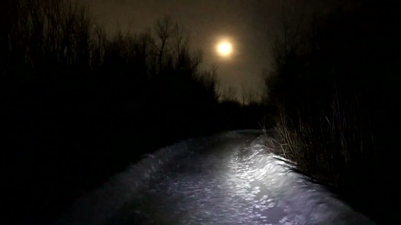 Morning Walk (2026-03-02)