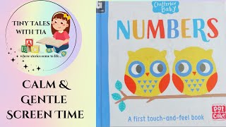 Counting Numbers with Animals - Touch & Feel Book