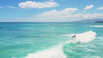 THE SURFARIS WITH WIPEOUT FANTASTIC SONG FOR SURFING released 1963.