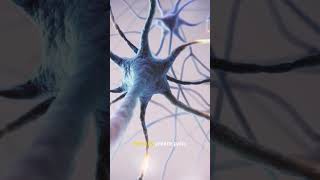 The Placebo Effect's Evil Twin, The Nocebo Effect