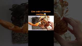 Live crab x Lord Crabius #kaiju #crabs #crabman