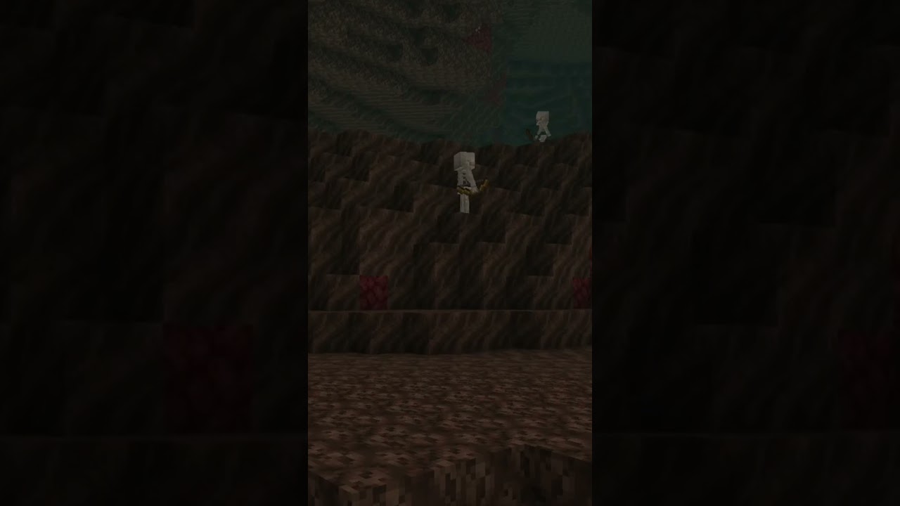 Minecraft : Skeletons Protect Nether? 