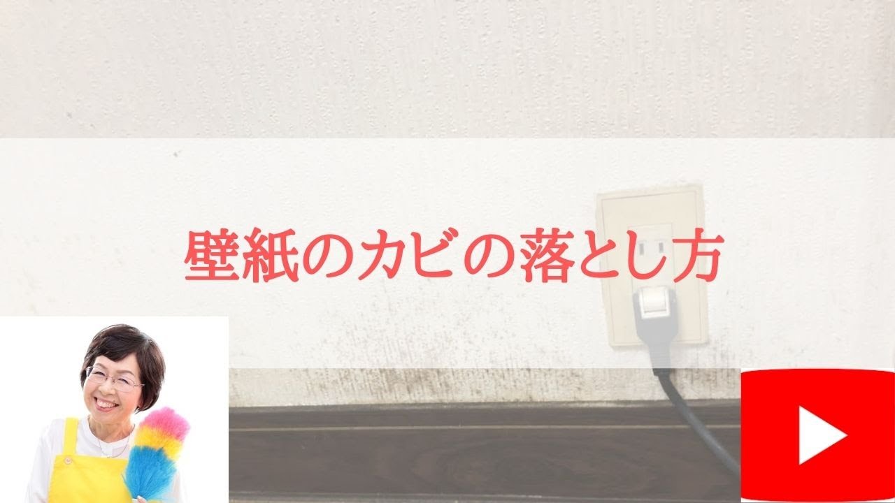 壁紙のカビの落とし方 Youtube 壁紙のカビの落とし方 Youtube