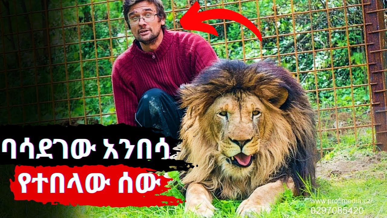 እውነተኛ ታሪክ፡ ሲቀብጡ በዱር እንስሳት የተበሉ ሰወች.